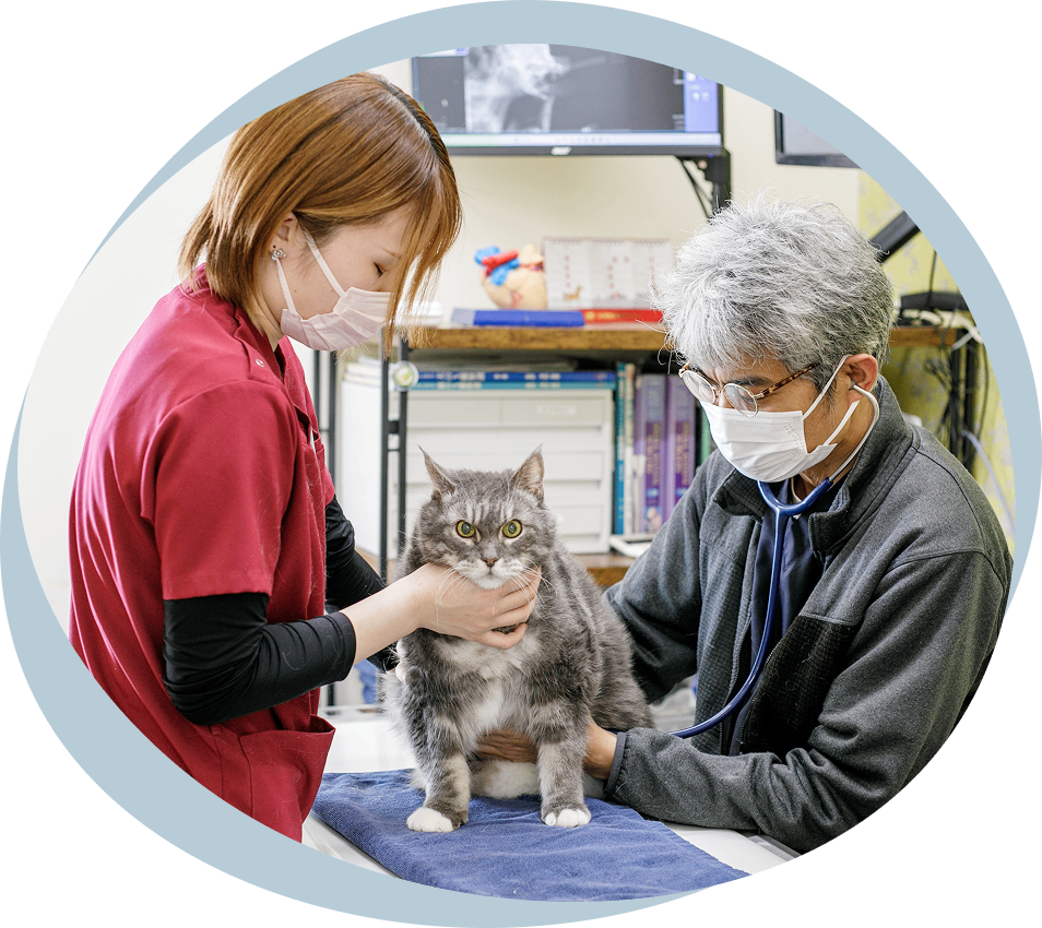 セカンドオピニオンで診察する様子