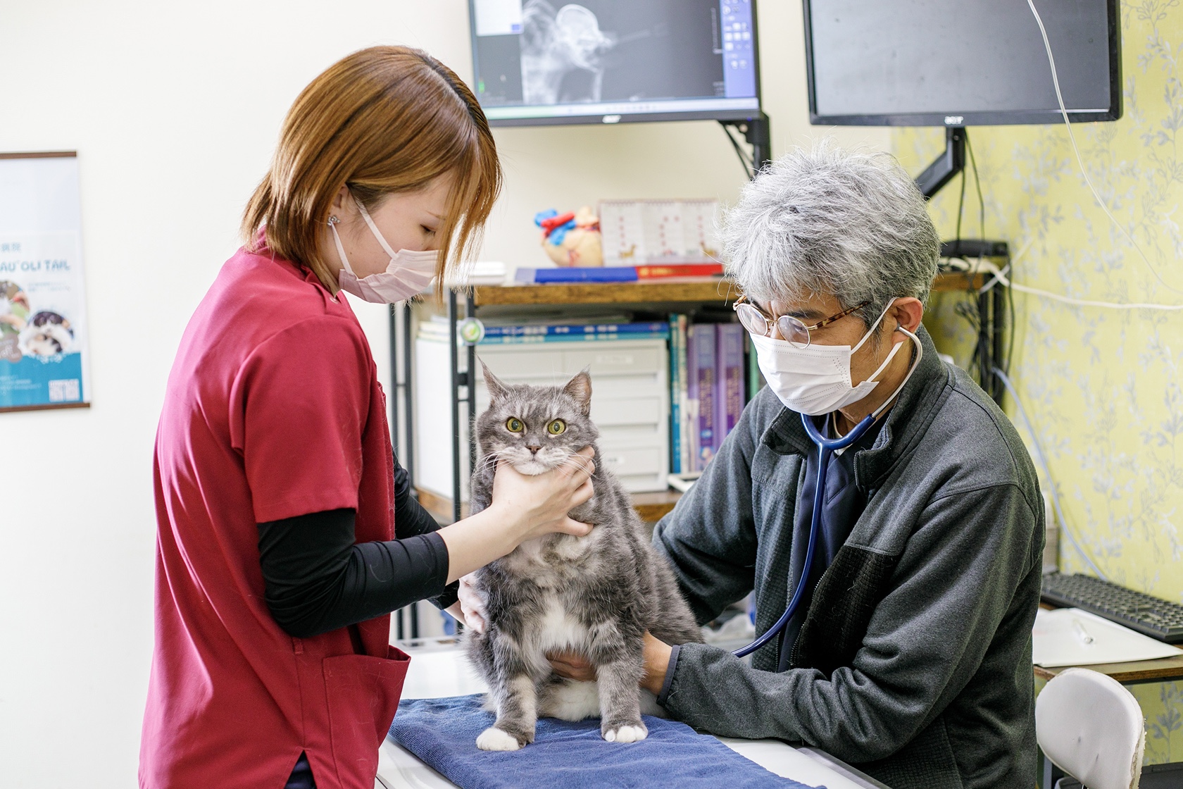 MiU動物病院の院内写真